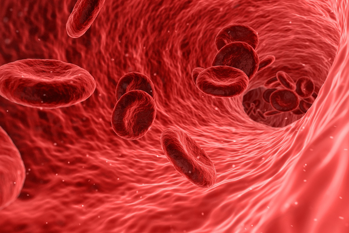 Does PRP Work for Chronic Tendonitis - visual graphic of microscopic view of blood cells