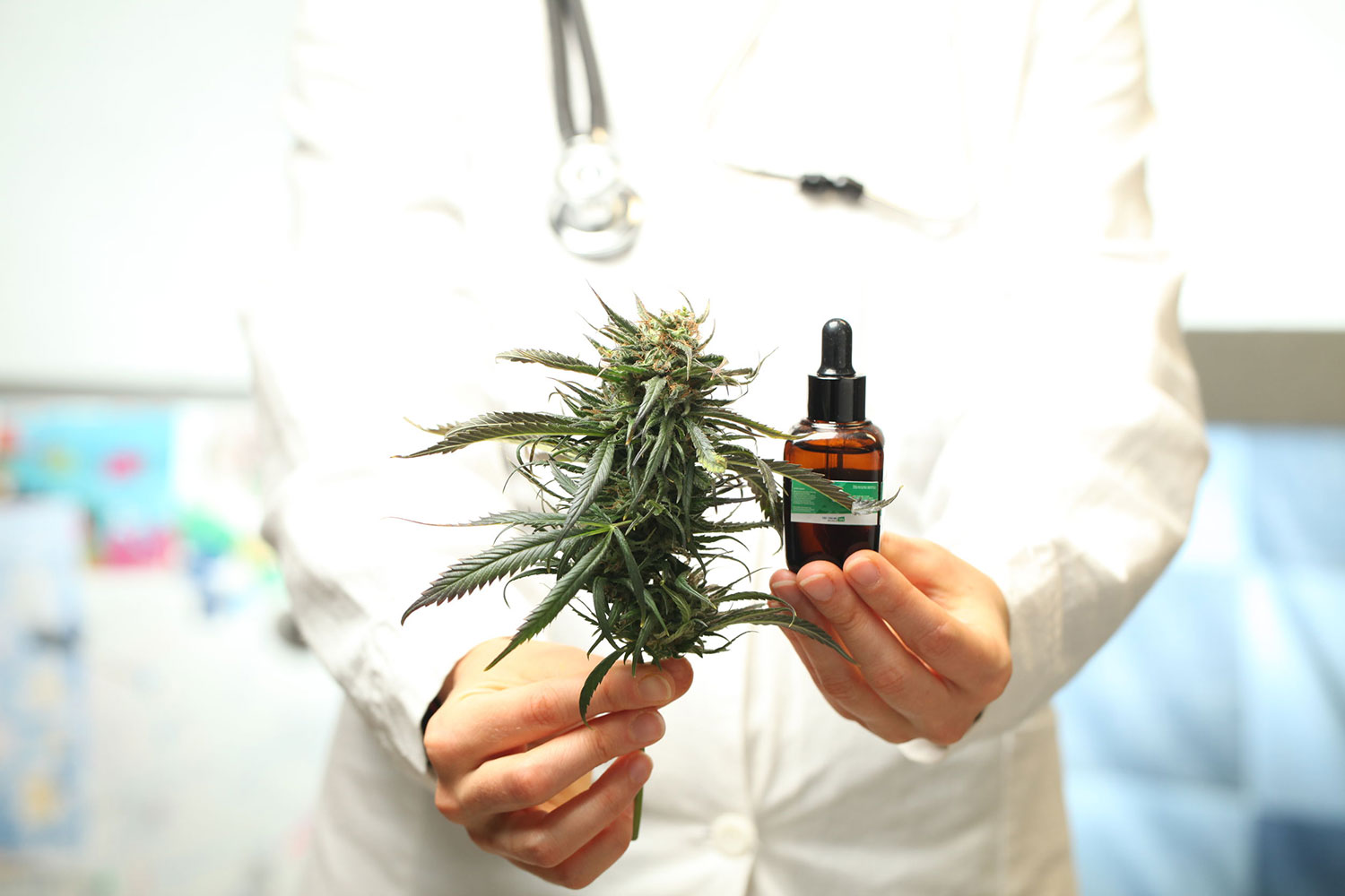 doctor holding cbd & marijuana