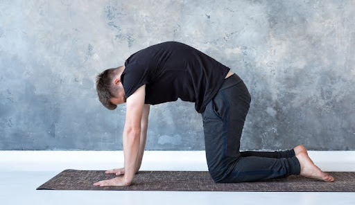 back-exercise-cat-cow